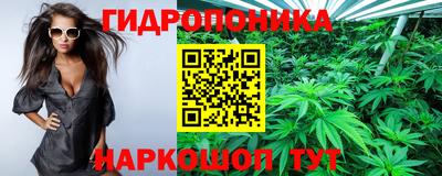 индика Кумертау