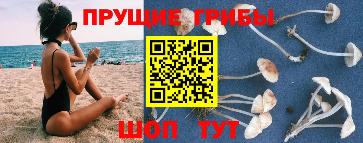 Псилоцибиновые грибы Cubensis  Вход с VPN  Кимры  Псилоцибиновые грибы мицелий 