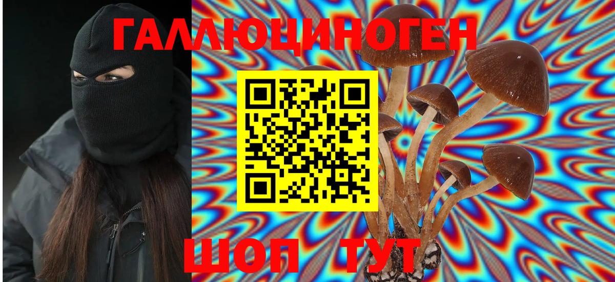 ГАШ  Бошки Шишки  Меф   Кокаин  Кимры  Вход с VPN 