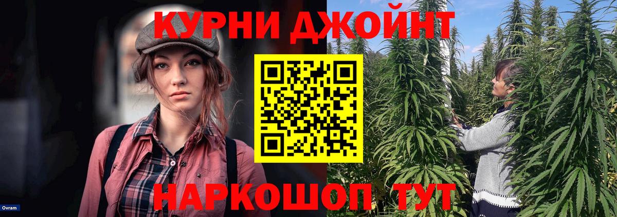 Шишки марихуана MAZAR  Конопля Ganja  Вход с VPN  Канабис MAZAR  Бошки Шишки марихуана  Кимры 